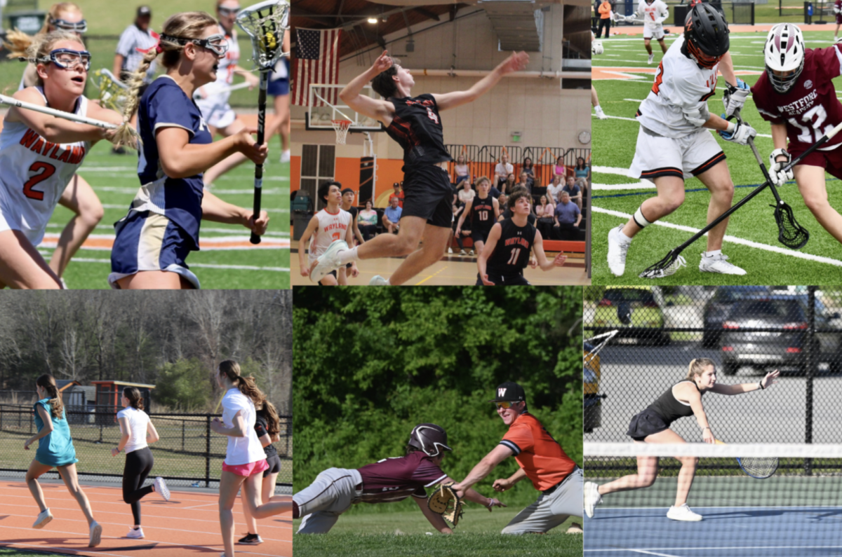 On March 17, tryouts for spring sports started. Below is some information about each team.